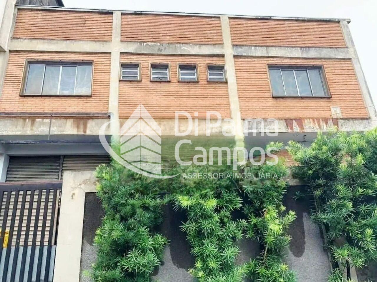 Foto 0